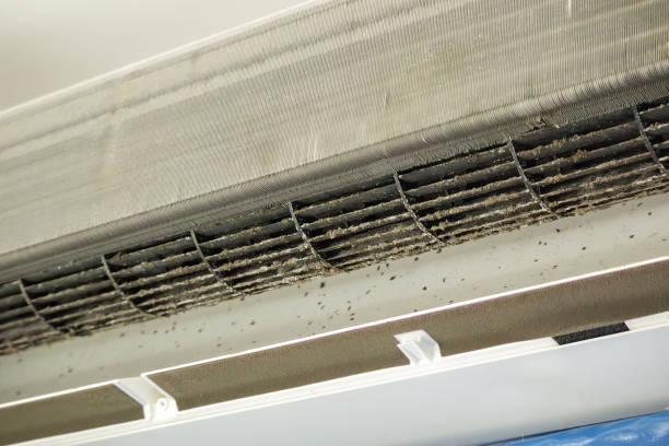 Professional Airduct Cleaning in Hunters Creek, FL